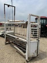 Cattle Chute