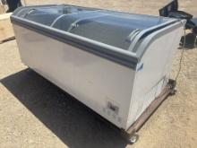 AHT -10 Degrees Commercial Freezer