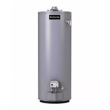 NEW Reliance 30 gal Natural Gas Water Heater