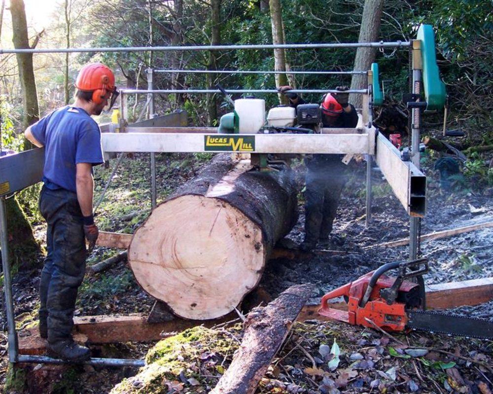 Lucas Swing Blade Portable Sawmill Model 8-30 with 5-foot slabbing bar