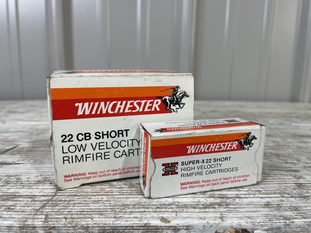 Assorted 22 Short Cartridges