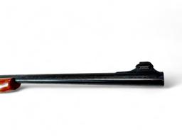 Italian Carcano Rifle