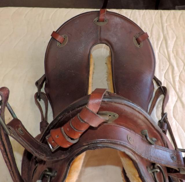 1904 Model Of the Original 1859 McClellan Saddle