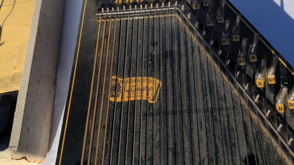 Vintage Autoharp
