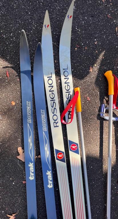 Travel Bag with Snow Skis