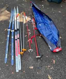 Travel Bag with Snow Skis