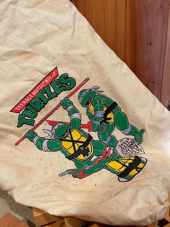 Wood Play Blocks In Ninja Turtle Bag