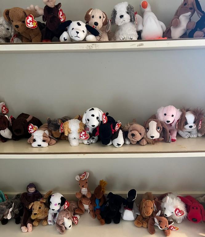Lot of Forty Plus Beanie Babies