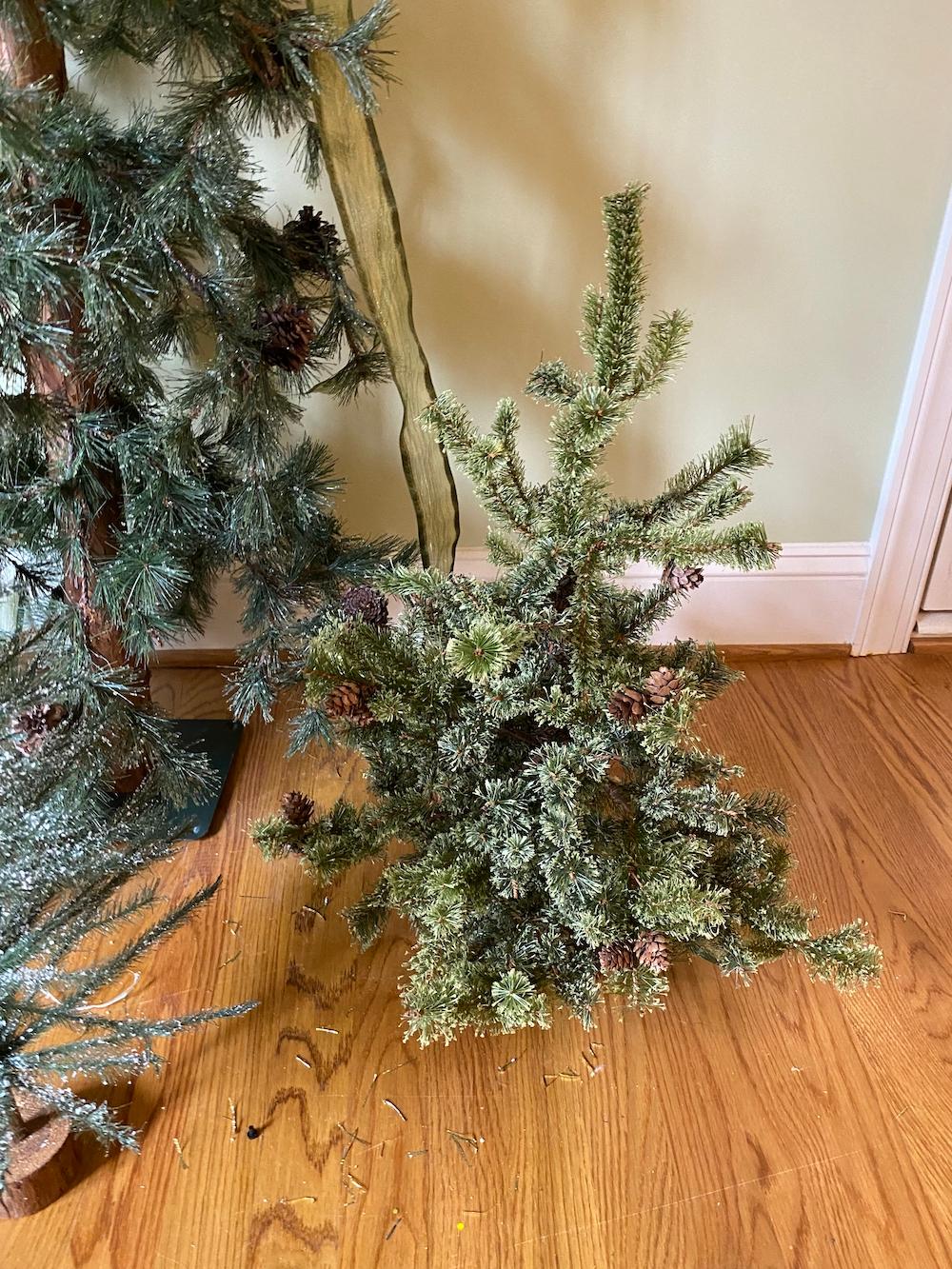 Holiday Trees