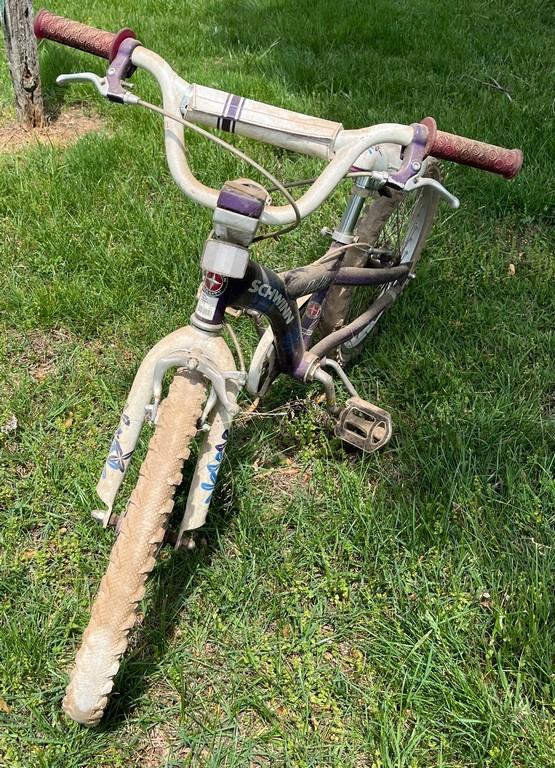 Girl's 20-inch Schwinn Bike