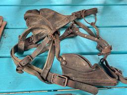 Horse Collar and Bridle