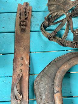 Horse Collar and Bridle