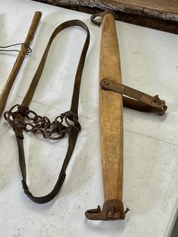 Yoke and Diviner and Bridle