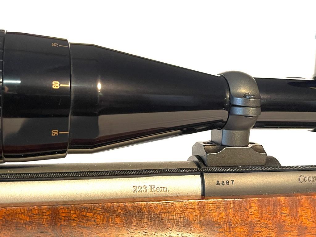 Cooper Arms Model 21 .223 Rem Stainless Bolt Action Rifle With Nikon 6.5X 20 Scope