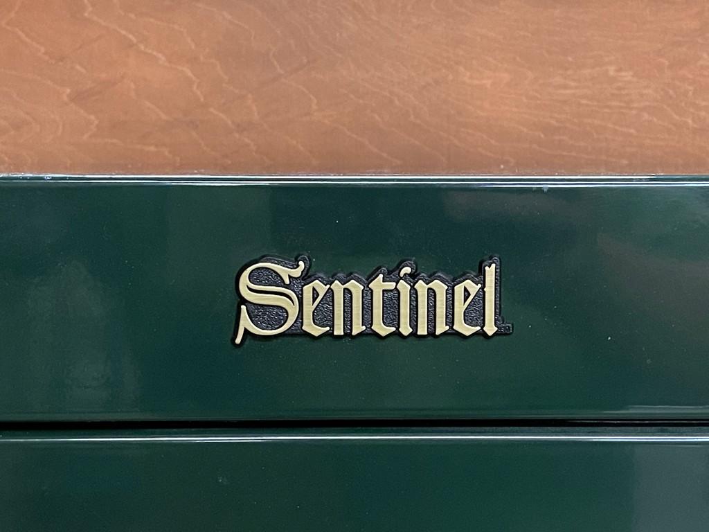 6 Gun Capacity Sentinel Gun Safe With Key