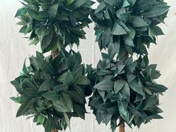 Pair of Weighted Topiaries