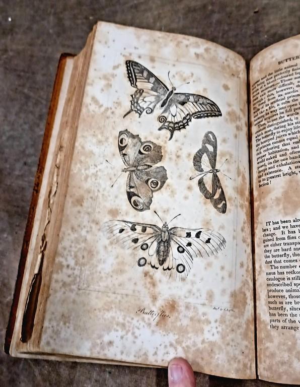Lot Of Four Early Leather Bound Books