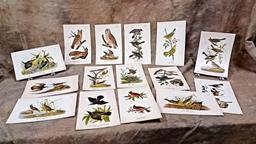 Lot Of Twenty Eight Color Chromolithograph Bird Plates From 1890 Book