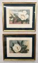 Pair of Numbered Magnolia Prints Mary E. Davidson