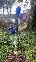 Bottle Tree
