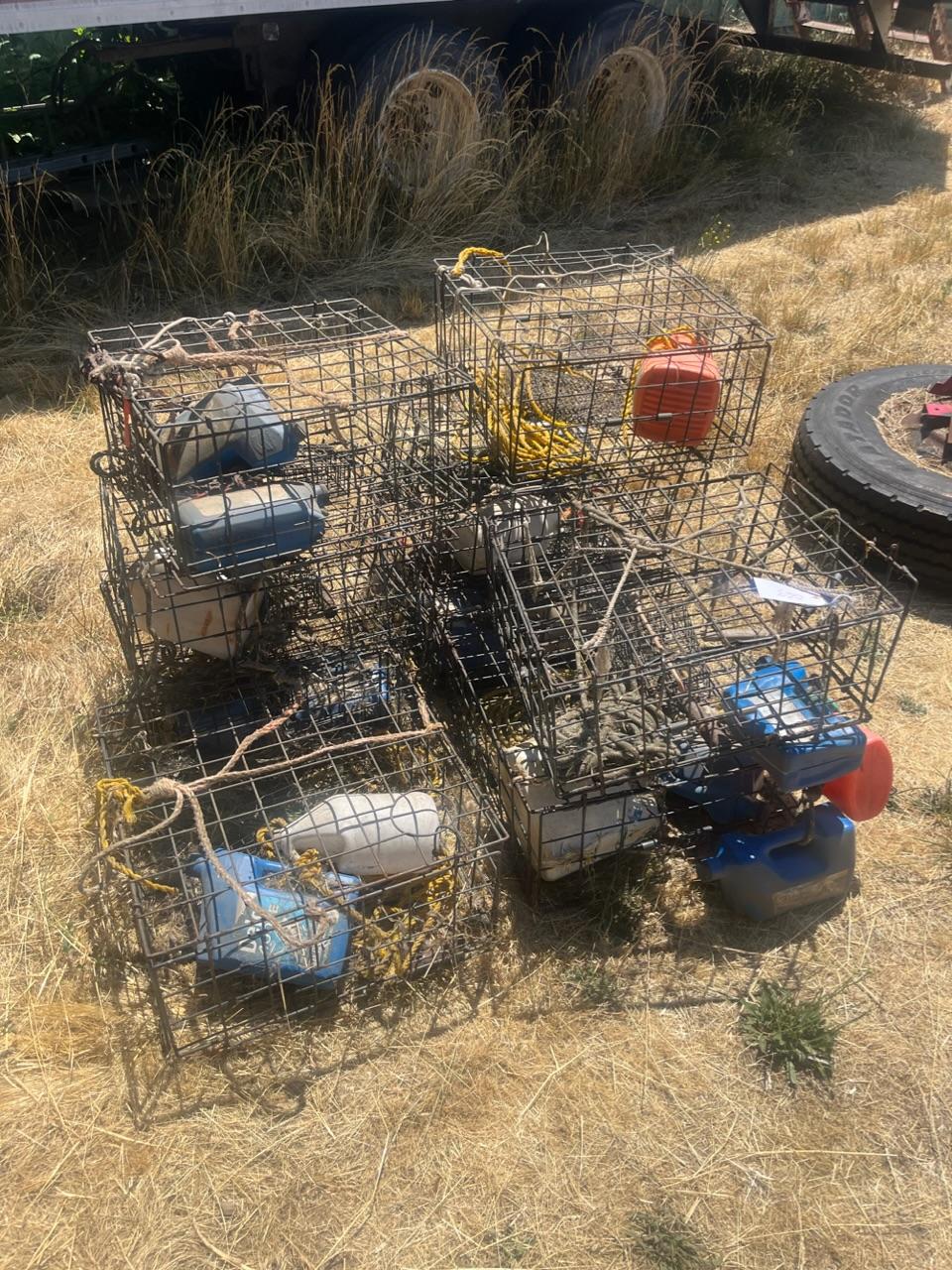 9 crab pots