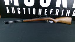 Marlin Model 60 .22LR with Bushnell Sportview 4x