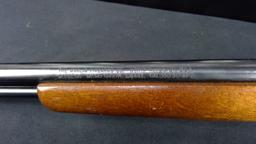 Marlin Model 60 .22LR with Bushnell Sportview 4x