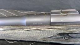 Ruger Gunsite Scout .308win