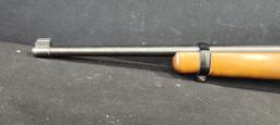 Ruger 10/22 .22LR