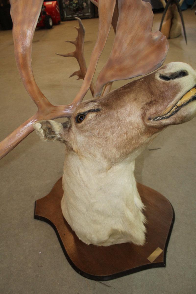 Mount