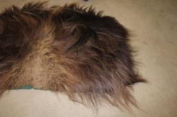 Pelt