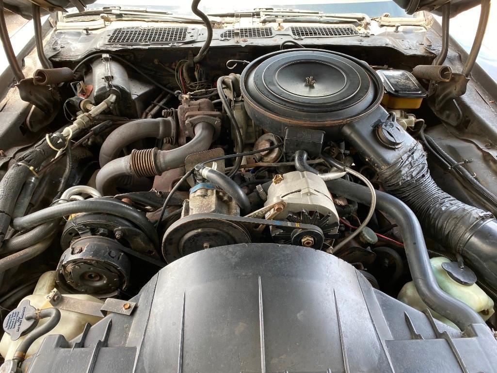 1981 PONTIAC TRANS AM TURBO