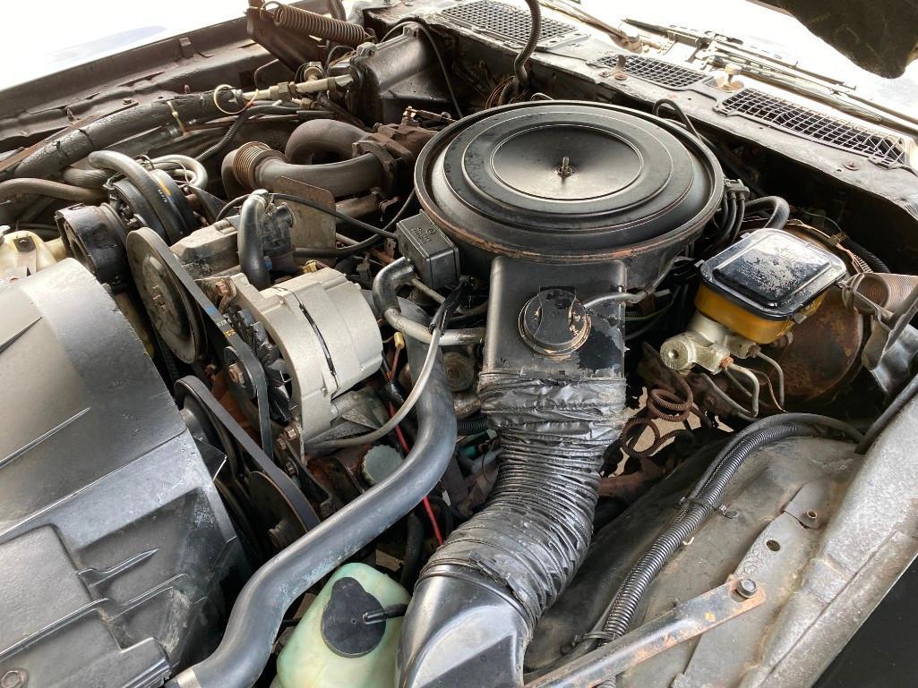1981 PONTIAC TRANS AM TURBO