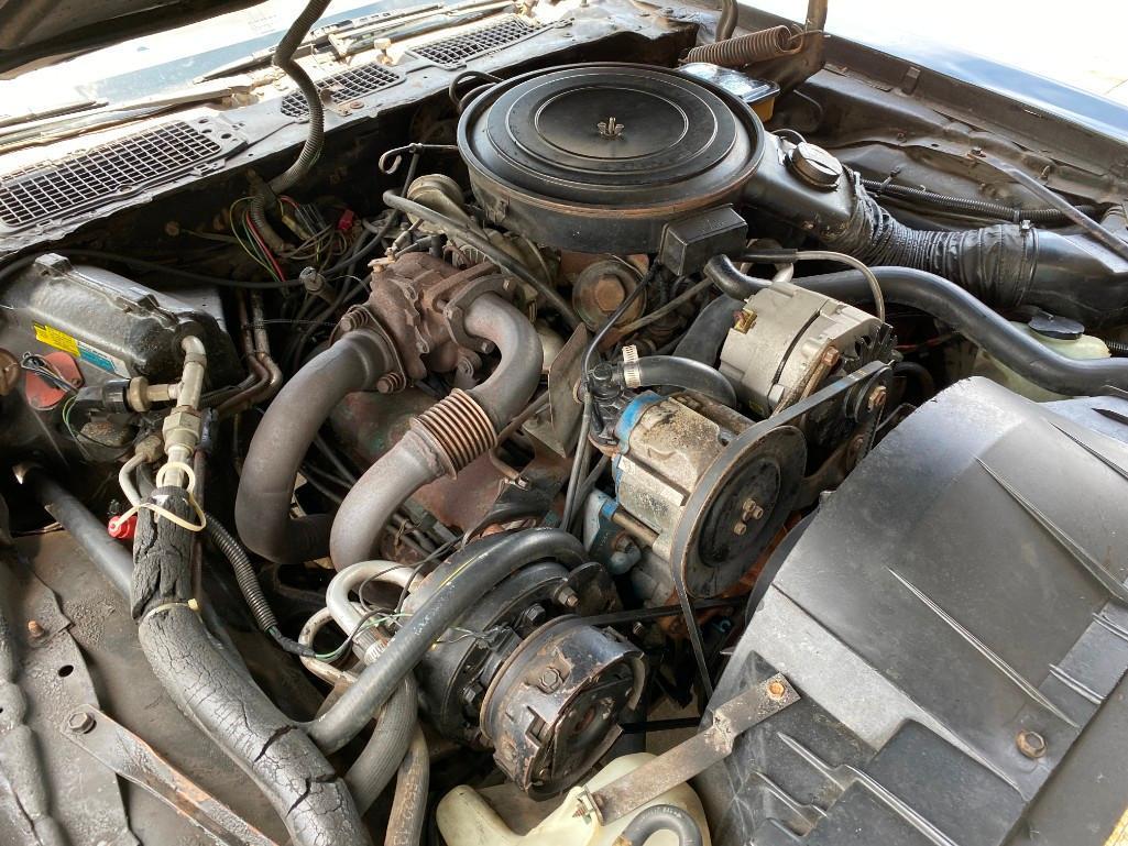 1981 PONTIAC TRANS AM TURBO