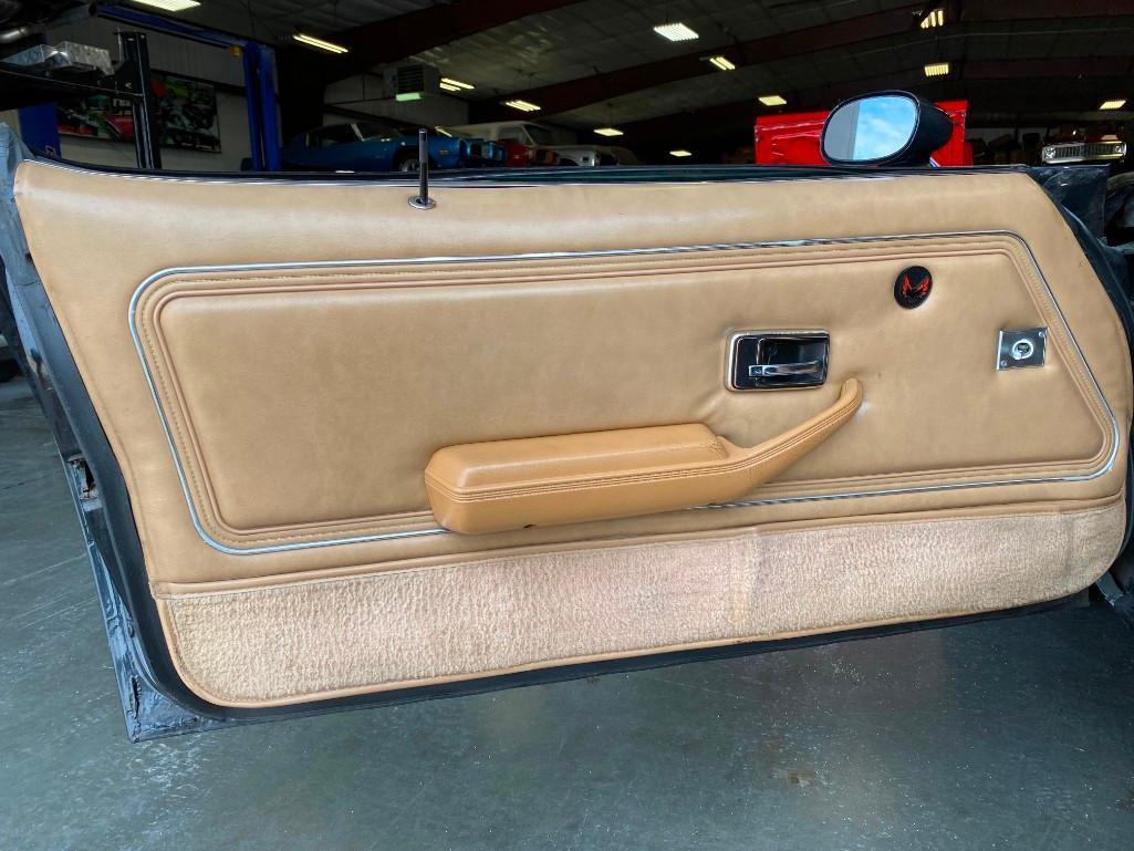 1981 PONTIAC TRANS AM TURBO