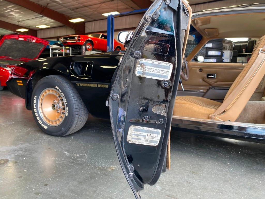 1981 PONTIAC TRANS AM TURBO