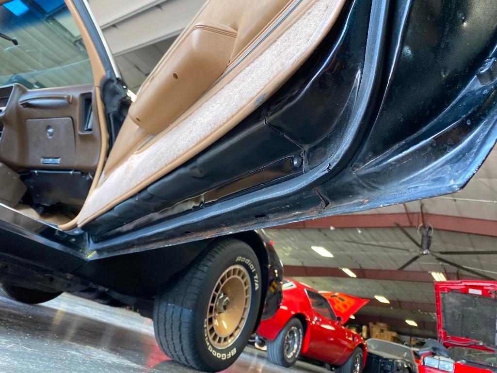 1981 PONTIAC TRANS AM TURBO