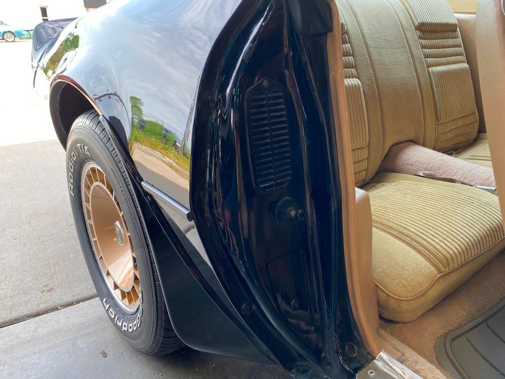 1981 PONTIAC TRANS AM TURBO