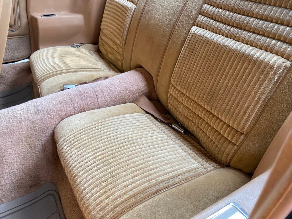 1981 PONTIAC TRANS AM TURBO