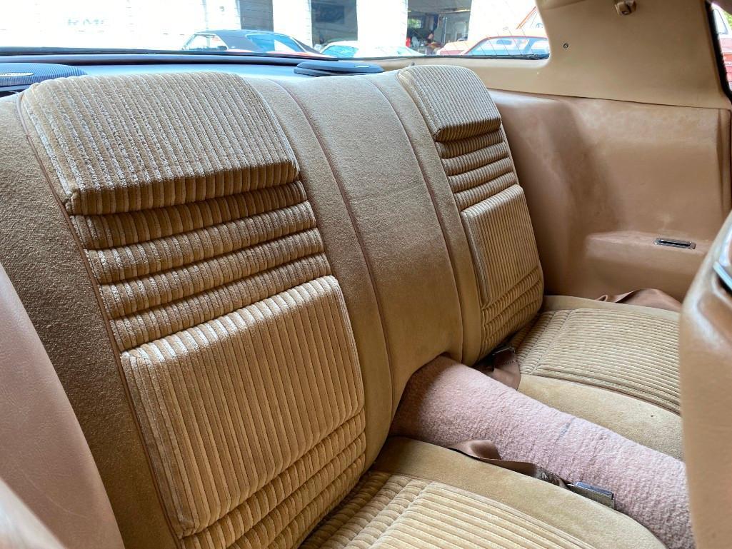 1981 PONTIAC TRANS AM TURBO