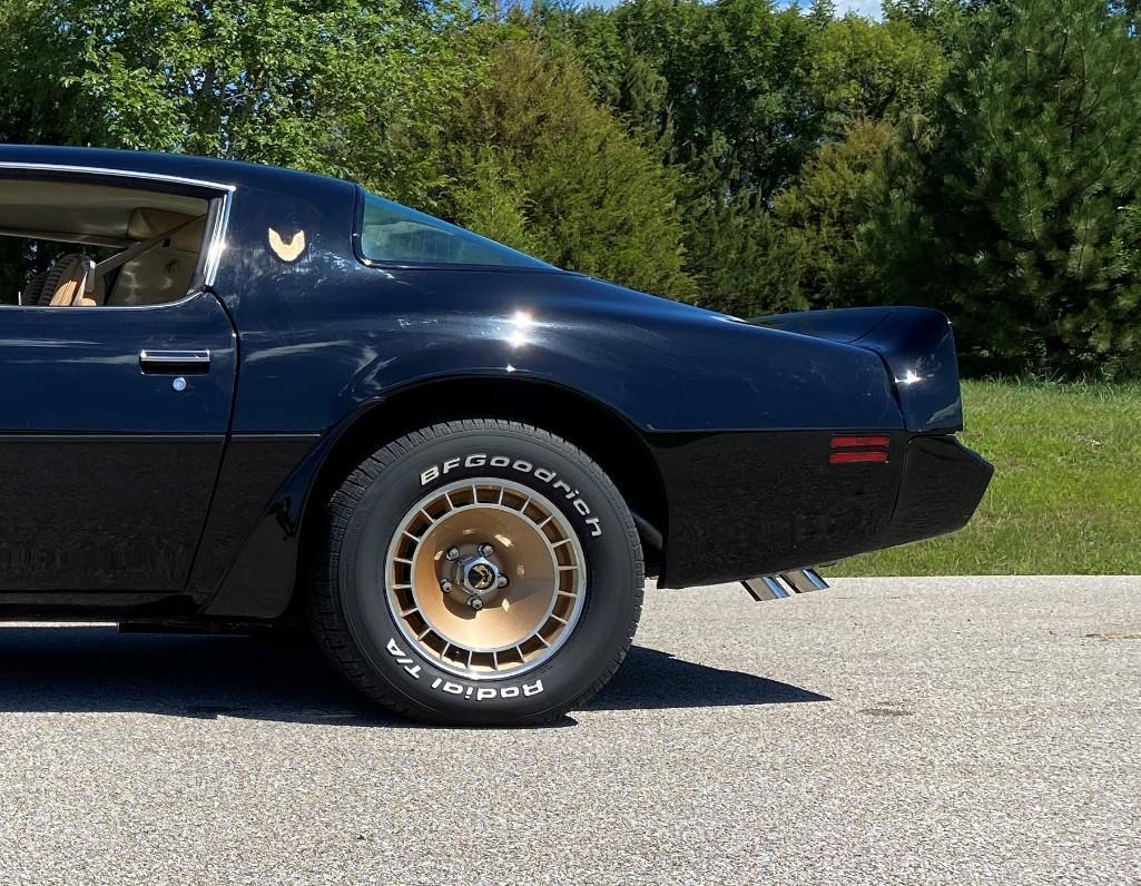 1981 PONTIAC TRANS AM TURBO