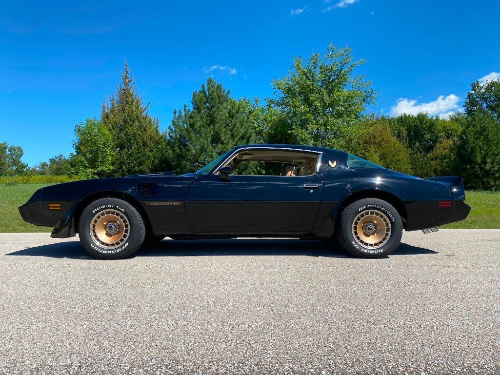 1981 PONTIAC TRANS AM TURBO
