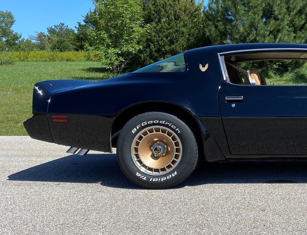 1981 PONTIAC TRANS AM TURBO