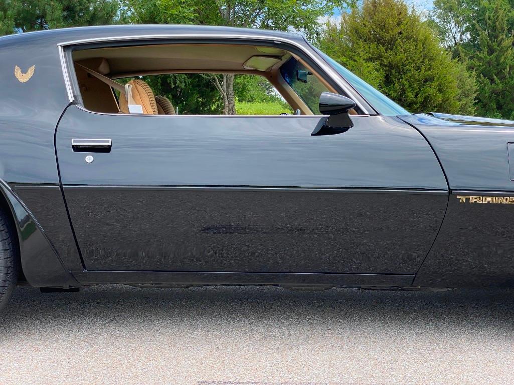 1981 PONTIAC TRANS AM TURBO