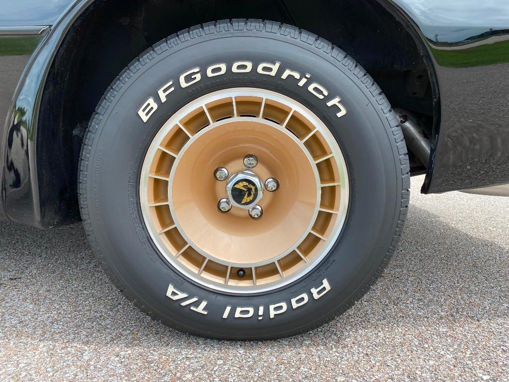 1981 PONTIAC TRANS AM TURBO