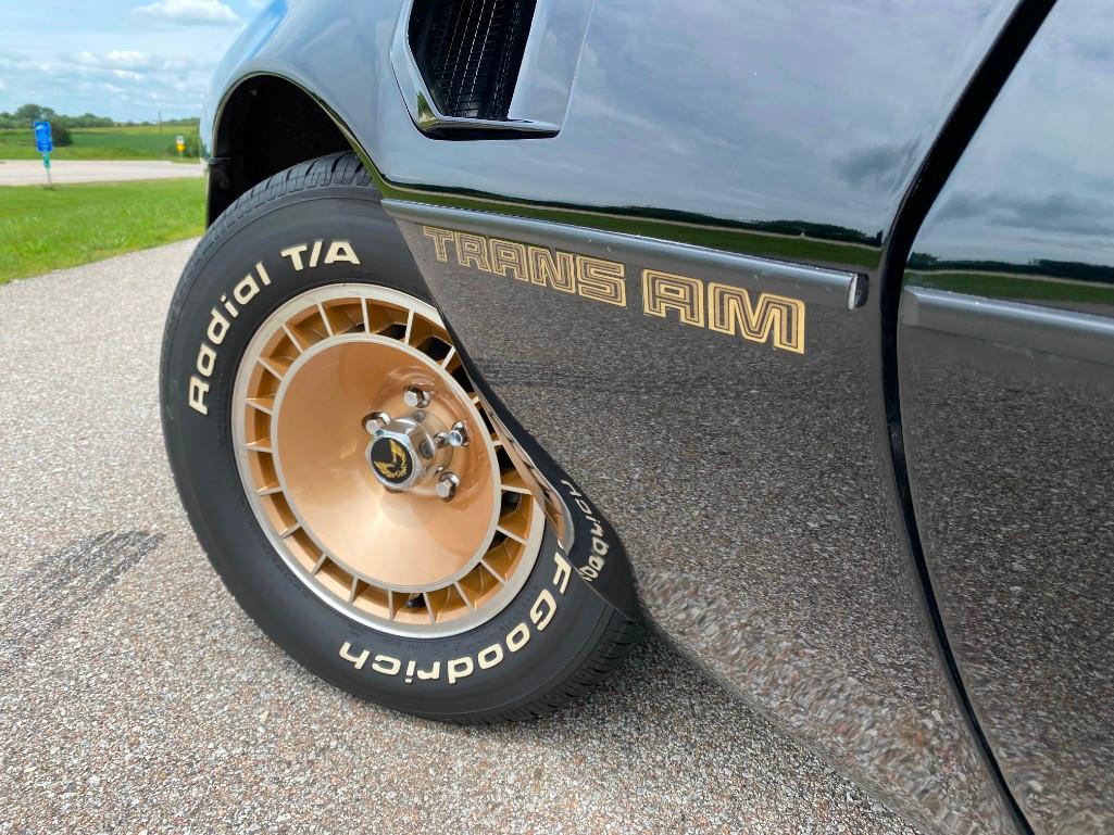 1981 PONTIAC TRANS AM TURBO