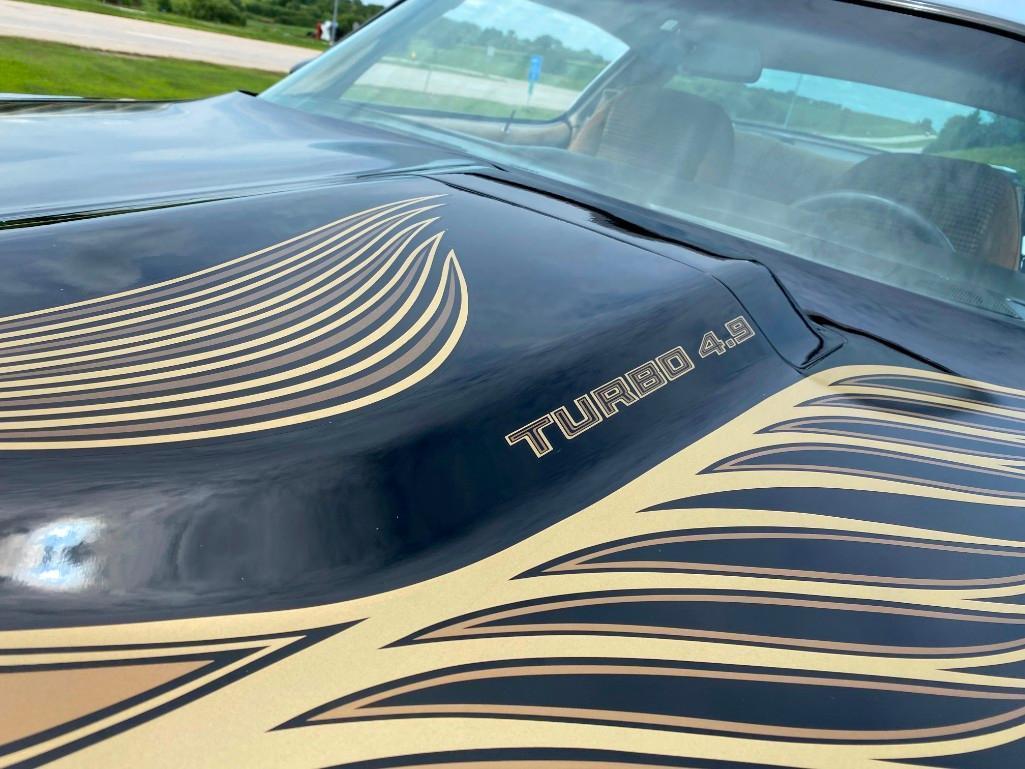 1981 PONTIAC TRANS AM TURBO