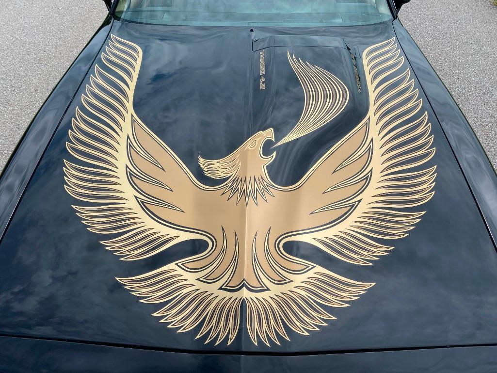1981 PONTIAC TRANS AM TURBO