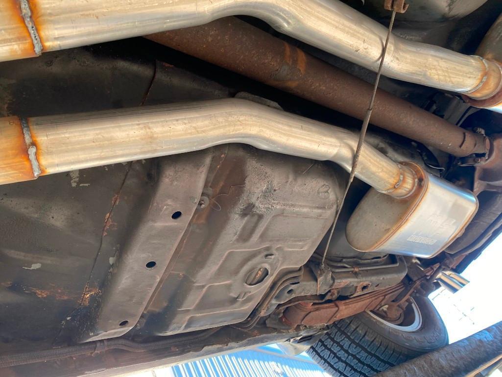 1981 PONTIAC TRANS AM TURBO