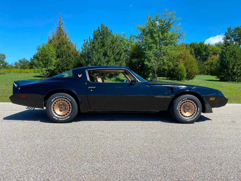1981 PONTIAC TRANS AM TURBO